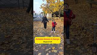 🍂 Autumn in France😲(Indians in Paris) #informative #shorts #shocking #autumn #nature #fallvibes
