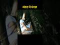 जंगल मे मंगल #shorts
