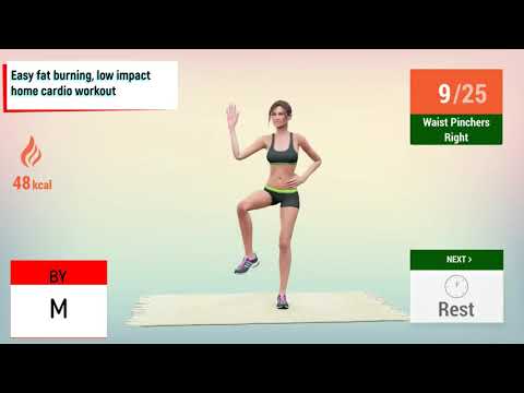 Easy fat burning, low impact home cardio workout/ცხიმების ადვილად დაწვა, დაბალი ზემოქმედების ქვეშ