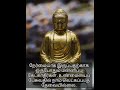 உண்மையை பேசுங்கள் | Buddha quotes | Tamil Motivational shorts whatsapp status| Trending shorts
