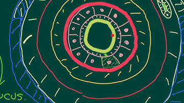 Chronic Obstructive Pulmonary Disease Part 2
