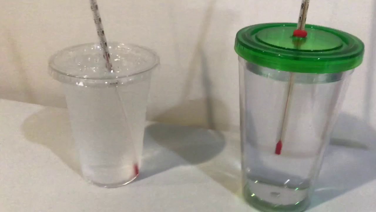 Fancy Vs Regular Cup Lesson 1 YouTube Fancy Vs Regular Cup Lesson 1 YouTube