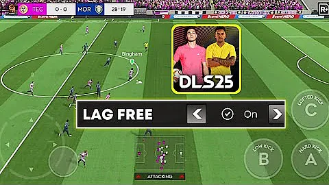 How to really FIX lag & crashes in DLS25
