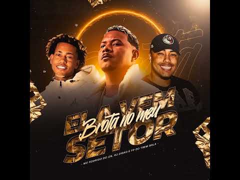 A CARGA CHORA NA BIQUEIRA - MC RODRIGO DO CN DJ ZIGÃO E FP DO TREM BALA - ELA VEM BROTA NO MEU SETOR