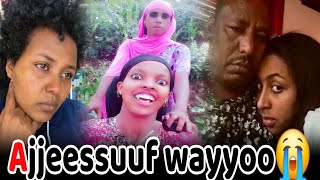 Download lagu Wayyoo ajjeessuuf😭 namni bineessaa ta'ee maaloo💔