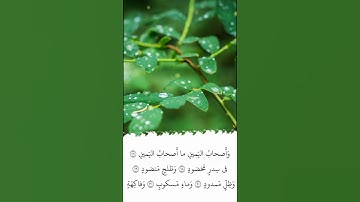 تلاوة في دقيقة | سورة الواقعة | الآيات ٢٧ - ٣٧ | الشيخ ياسر الدوسري