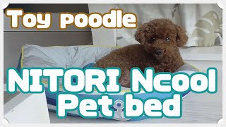 NITORI Ncool Pet bed