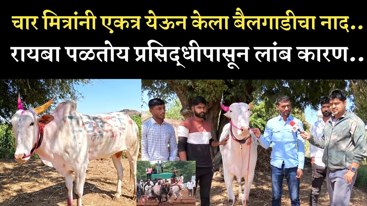 किन्हाई करांचा रायबा...