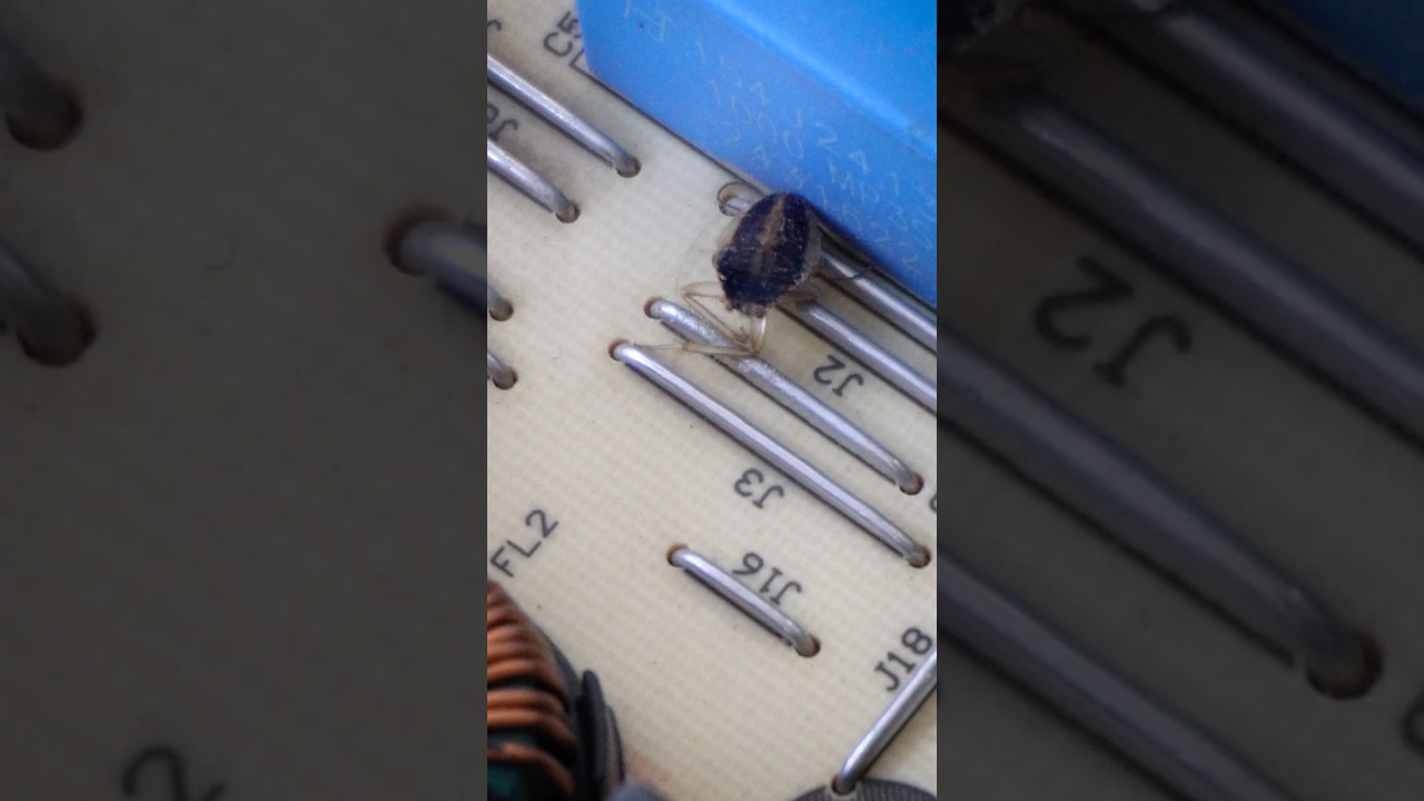 Una ps5 pro con problemas #playstation #ps4 #ps5 #serviciotecnico #reparacion