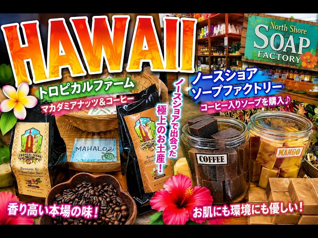 ワンドロップ　パノラマ　サタデーマーケット 2026 Latest] #MacadamiaNutCoffee #HawaiiTrip June was amazing
