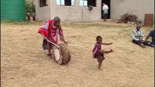 Swazi Celebration Traditional Dancer
