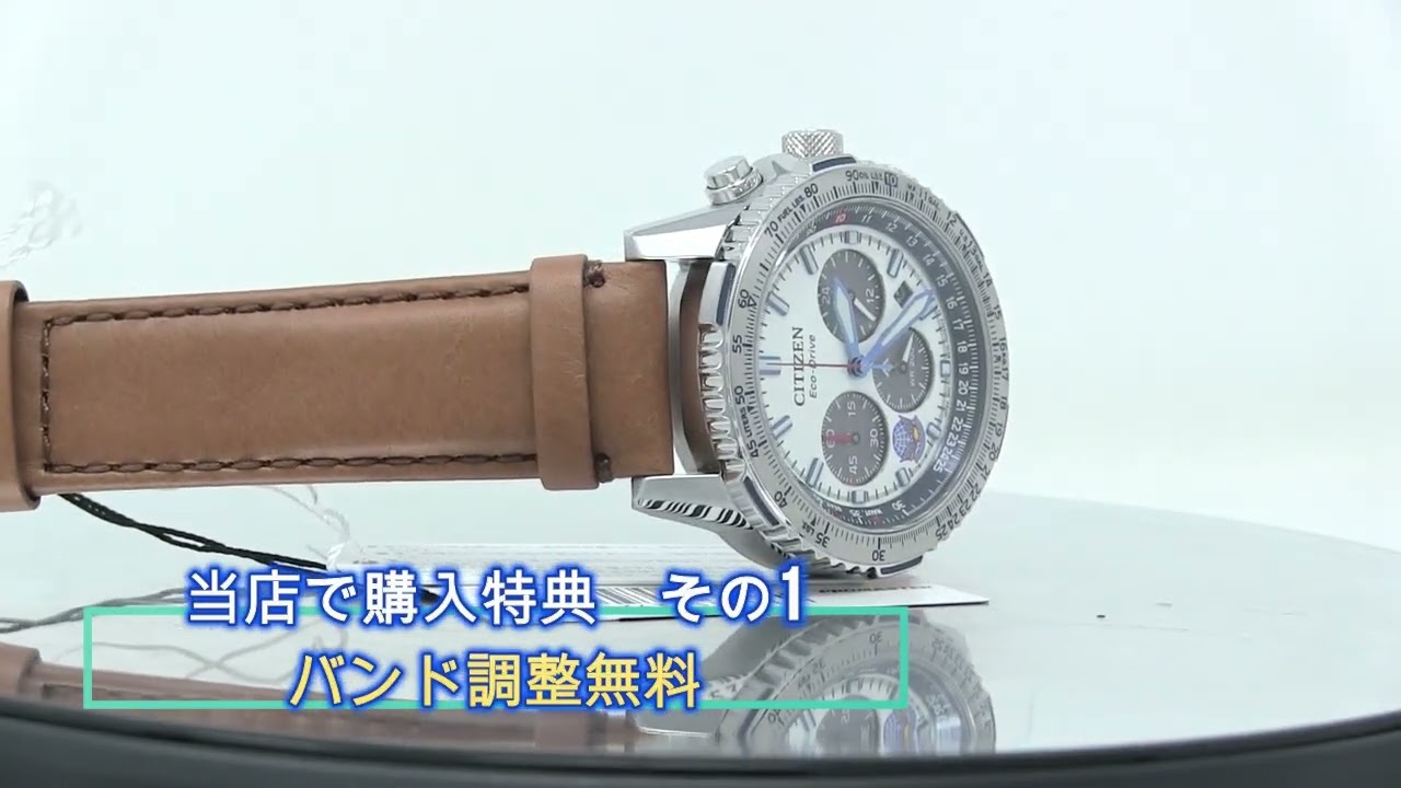 CITIZEN[シチズン]PROMASTER[プロマスター] SKYシリーズ CA4661-09A 光