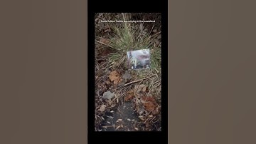 I found fallout 1 in the wild! #fallout #fallout4 #fallout76 #fallout3 #falloutnewvegas #fallout1