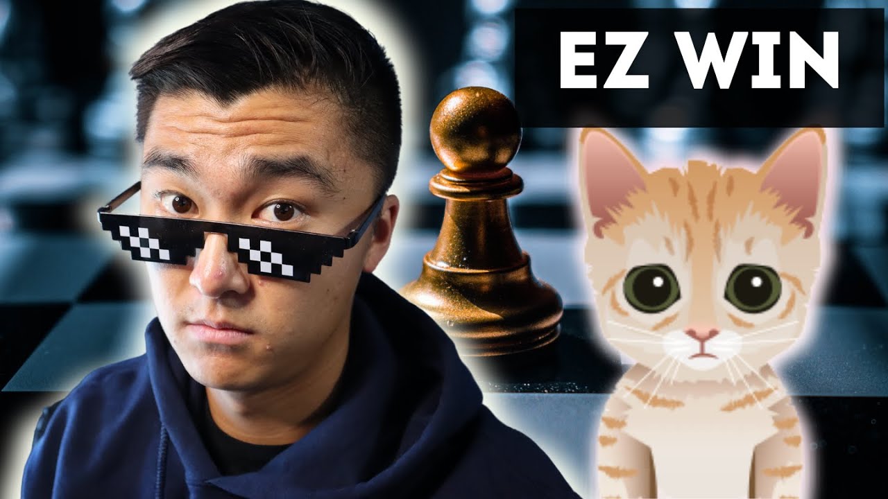 Celebrities, TikTok, and a Cat Bot Are Crashing Chess.com