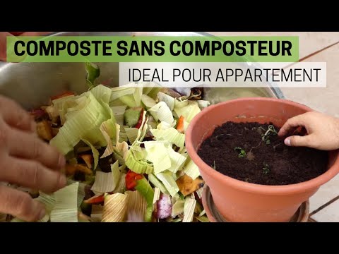 Vidéo: Pouvez-vous composter à l'intérieur ? En savoir plus sur le compostage à l'intérieur