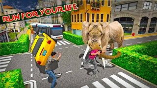 Elephant vs Dog Zebra | Elephant Attack City Rampage | Animal Gameplay | Hannu Games screenshot 2