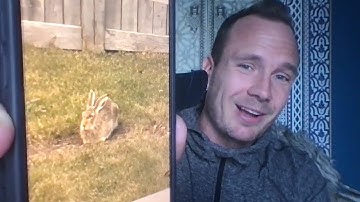 ⛔️ Warning ⛔️ about the Rabby Wallet... Potential hack?