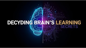 Decoding the Brain’s Learning Secrets: How AI Mirrors Human Intelligence