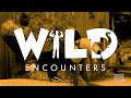 Wild Encounters: Toucan and Friends - Teaser