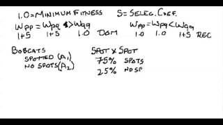 Selection Part II