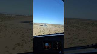 Bird Strike During Landing