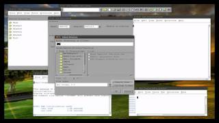 1.2 SAS Libraries (linux)