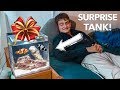 SURPRISED MY FRIEND WITH A TANK!!!  🎉- (and 2 clownfish )
