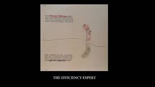 The Efficiency Expert