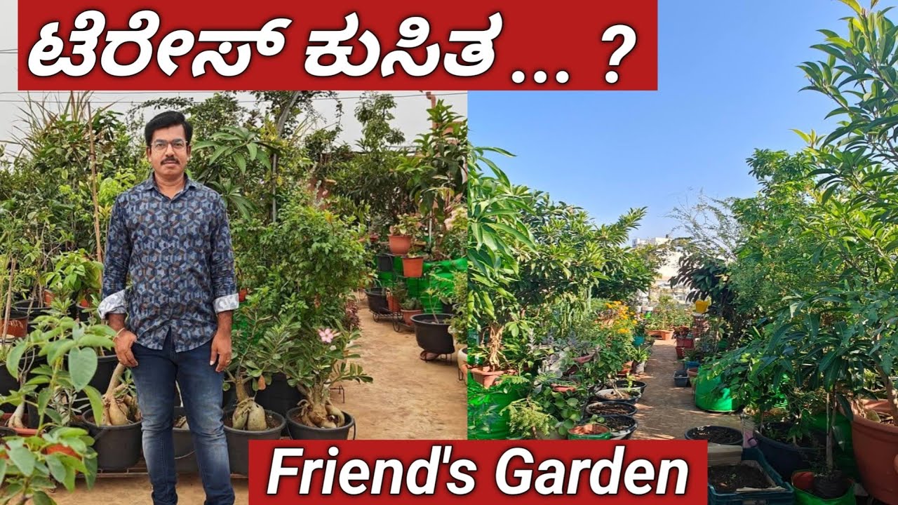 ಟೆರೇಸ್ ಕುಸಿತ//ಮನೆ ಮೇಲೆ ಇಸ್ಟೊಂದು ಗಿಡ ಮರಗಳು ಇದ್ದರೆ ಏನಾಗುತ್ತೆ ನೋಡಿ #gardentour #part I 