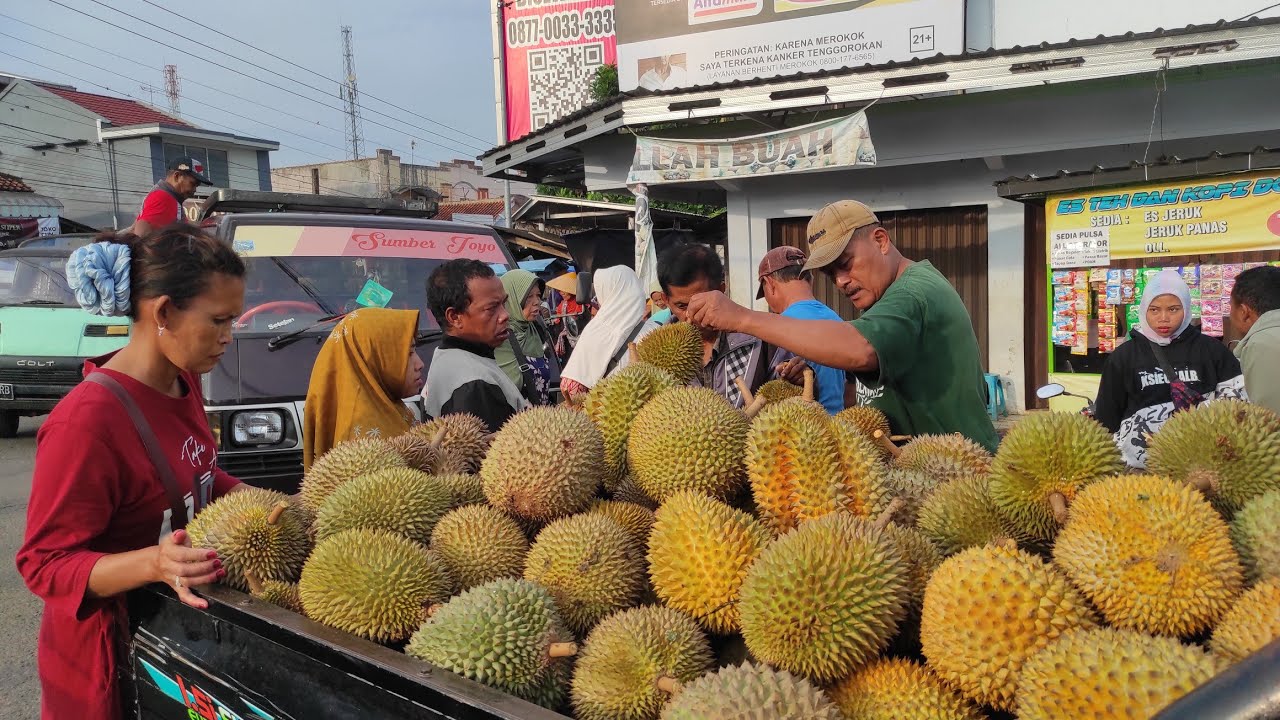 20.000 Dapat Durian Lokal Super|| Diluar Ekspektasi || Sabtu, 27 Desember 2025