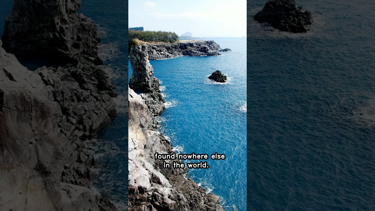 Exploring Jeju Island's Incredible Biodiversity