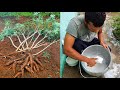 como fazer goma de tapioca em casa + muita chuva no sítio