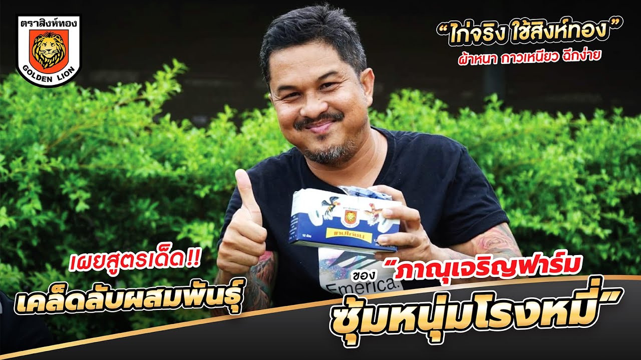 เผยสูตรเด็ด เคล็ดลับการผสมพันธุ์ของซุ้มหนุ่มโรงหมี่