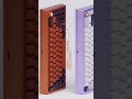 Don’t miss this awesome budget custom keyboard! #shorts #mechanicalkeyboard