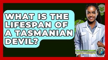 What Is The Lifespan Of A Tasmanian Devil? - Earth Science Answers