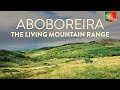 Aboboreira | The Living Mountain Range - Nature Documentary: Portugal