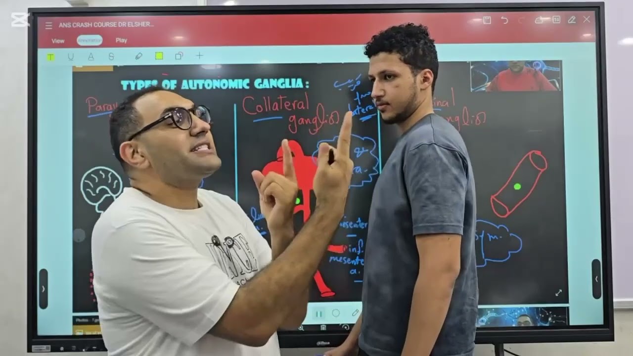 ANS Crash Course-2 Kasr alainy 199