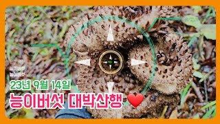 23년 능이버섯 산행 약25키로 by 산타는 아빠 TV 37,962 views 8 months ago 21 minutes