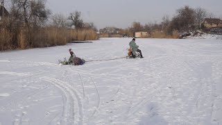 Мотосани из бензопилы - развлекаю детвору.