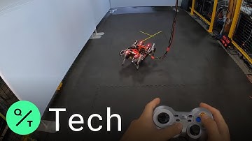 This Robot Learned to Walk All By Itself Using "Deep Reinforcement" Algorithms
