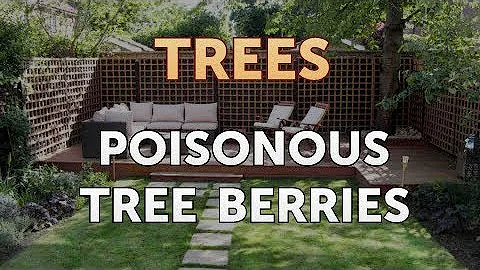 Is Ash tree bark poisonous to dogs?