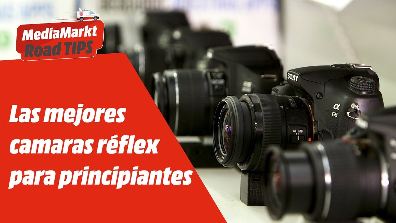 Las mejores cámaras réflex para principiantes! - YouTube