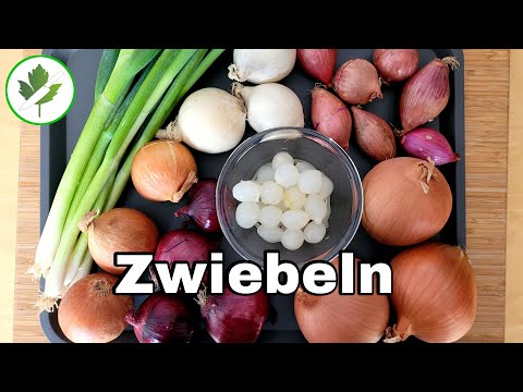 Video: Verschiedene Zwiebelsorten - Wie viele Arten von Zwiebeln gibt es?