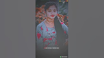 Aadivasi Timli status || Mahesh Nargava Timli status 2024 || Ld dodva Timli status || #ytshorts