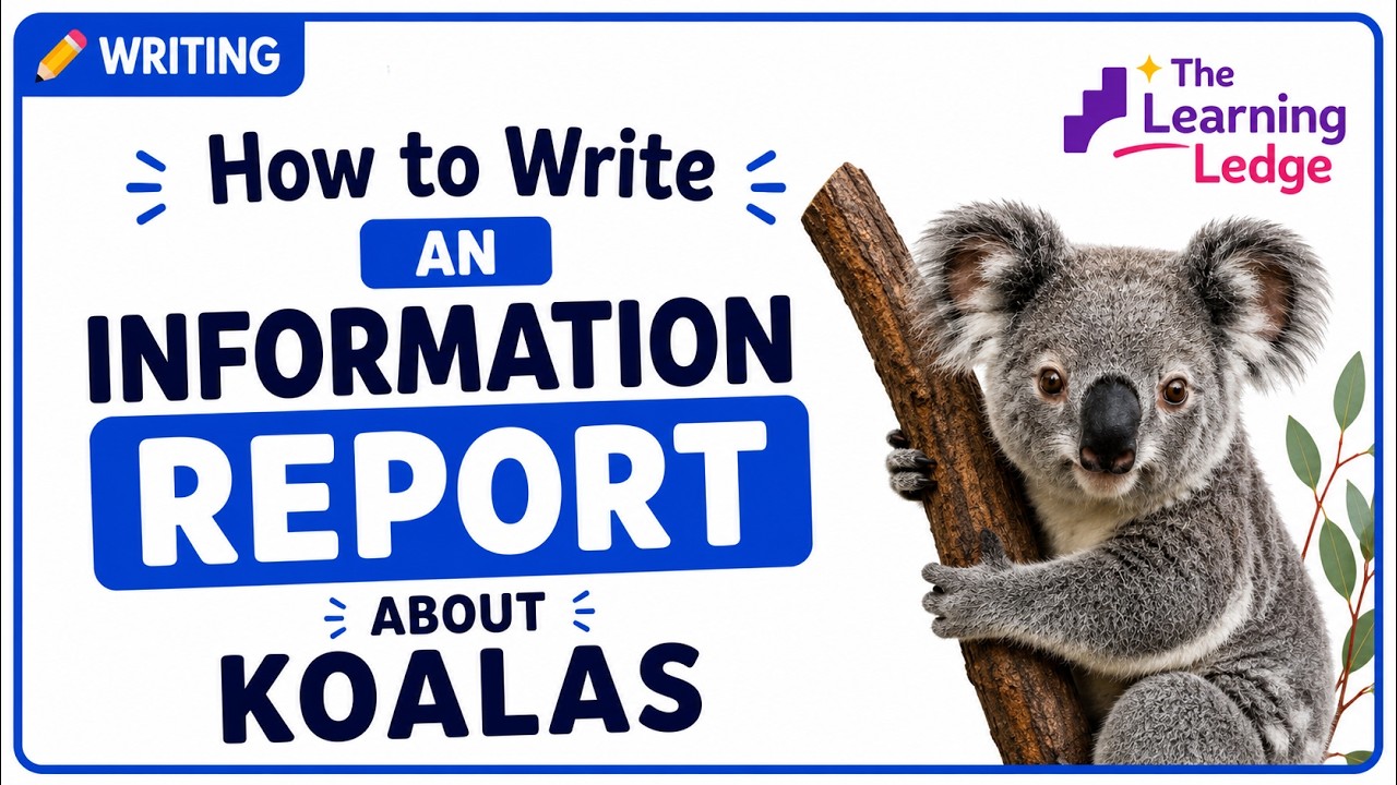 Information Report Writing For Kids | Koala Report Example - YouTube