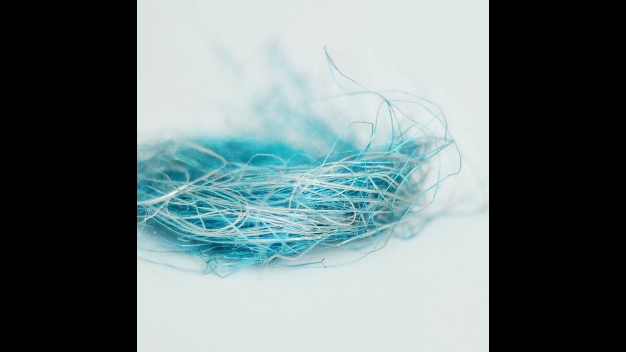 blochemy - perception of entropy (Full Album)