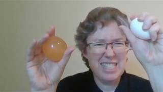 The Naked Egg - a sample online STEM class