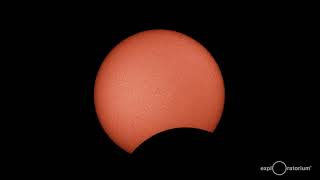 Total Solar Eclipse 2019 | Telescope Views from Chile | Exploratorium