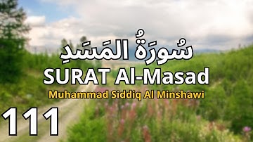 Surah Al-Masad | By Muhammad Siddiq Al Minshawi | Full With Arabic Text (HD) | 111-سورة المسد