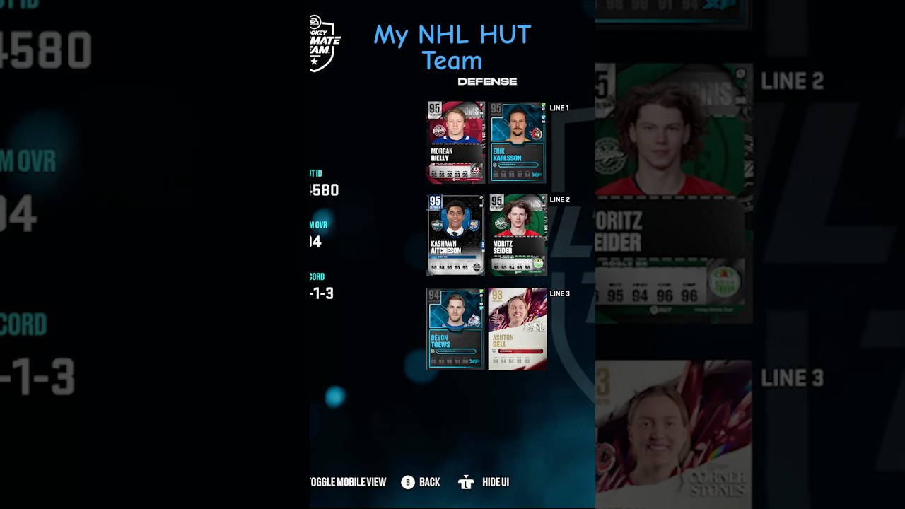 My Great NHL 25 HUT Team. The Northern Lights.